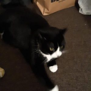 Meet your Posher, Mark